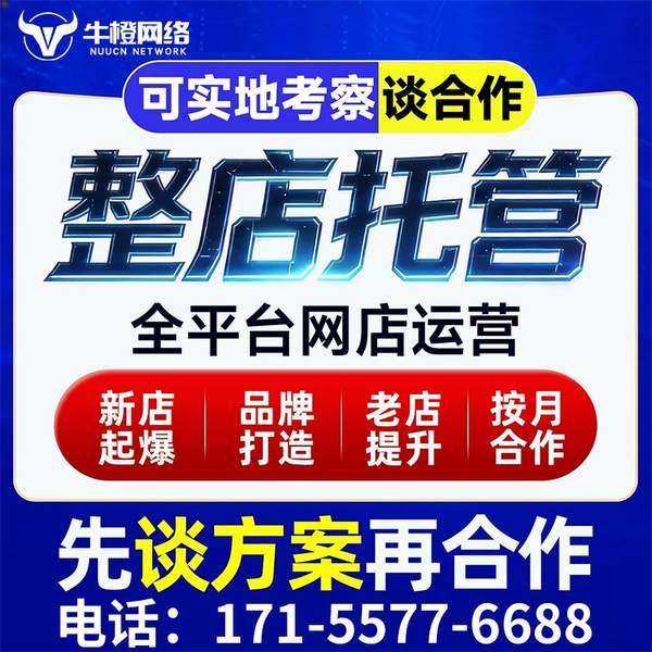 金昌电商代运营