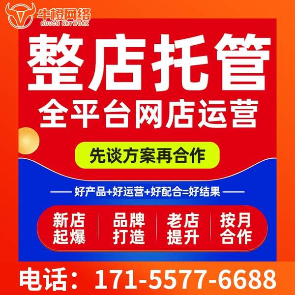 金昌电商代运营